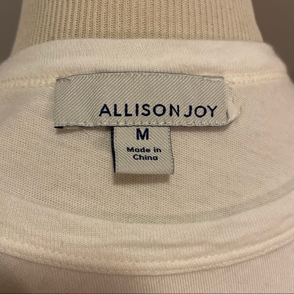 Evereve Gwen Ombré Tank by Allison Joy - Picture 4 of 5